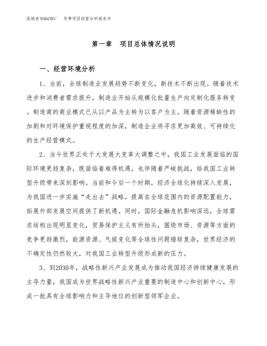 吊带项目经营分析报告书（总投资7000万元）（26亩）.docx_第2页