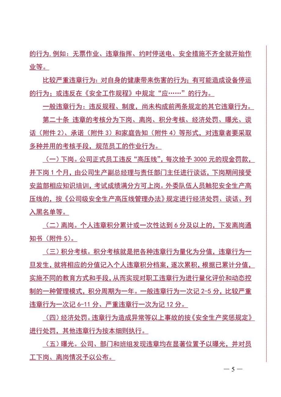 某发电有限责任公司反违章管理办法.doc_第5页