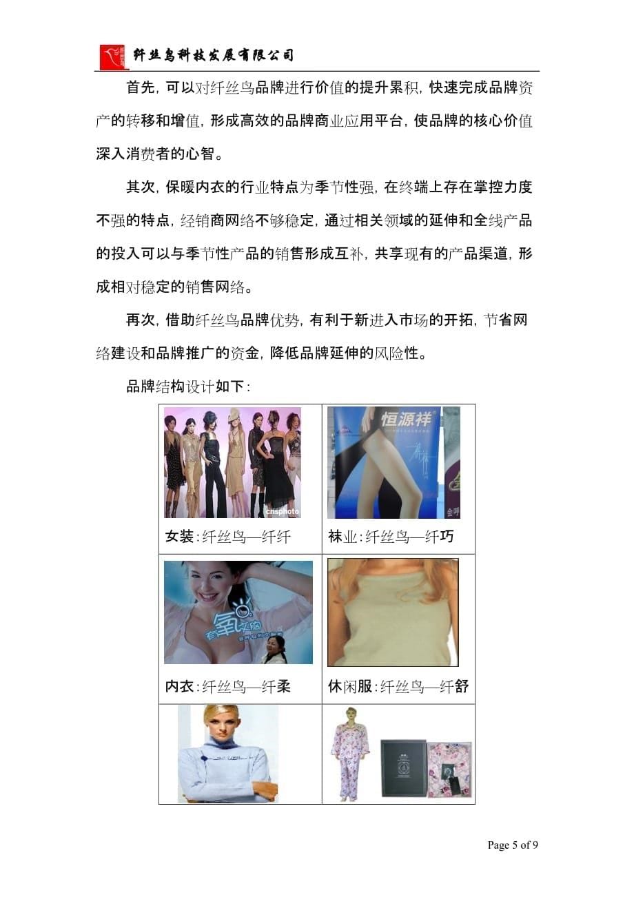 某科技发展有限公司品牌延伸方案.doc_第5页