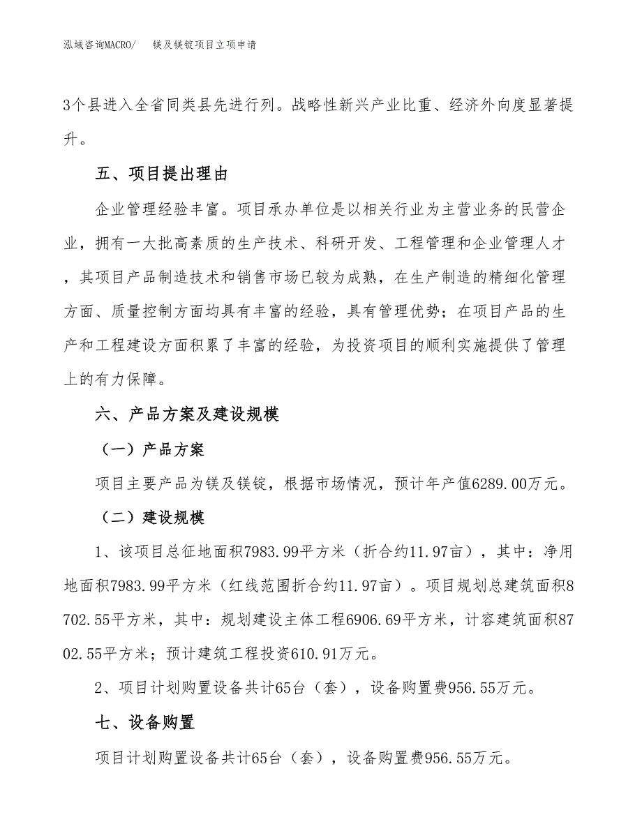 镁及镁锭项目立项申请（案例与参考模板）_第3页