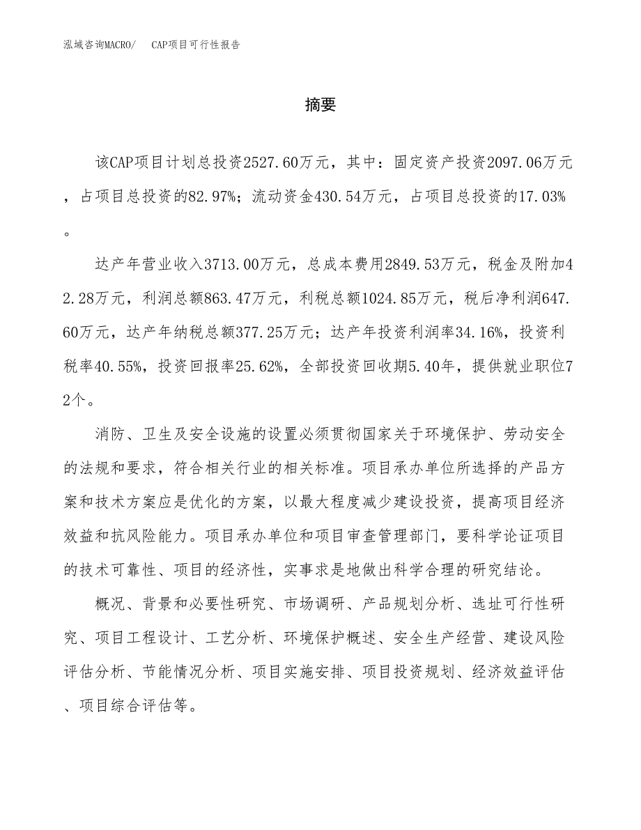 CAP项目可行性报告范文（总投资3000万元）.docx_第2页