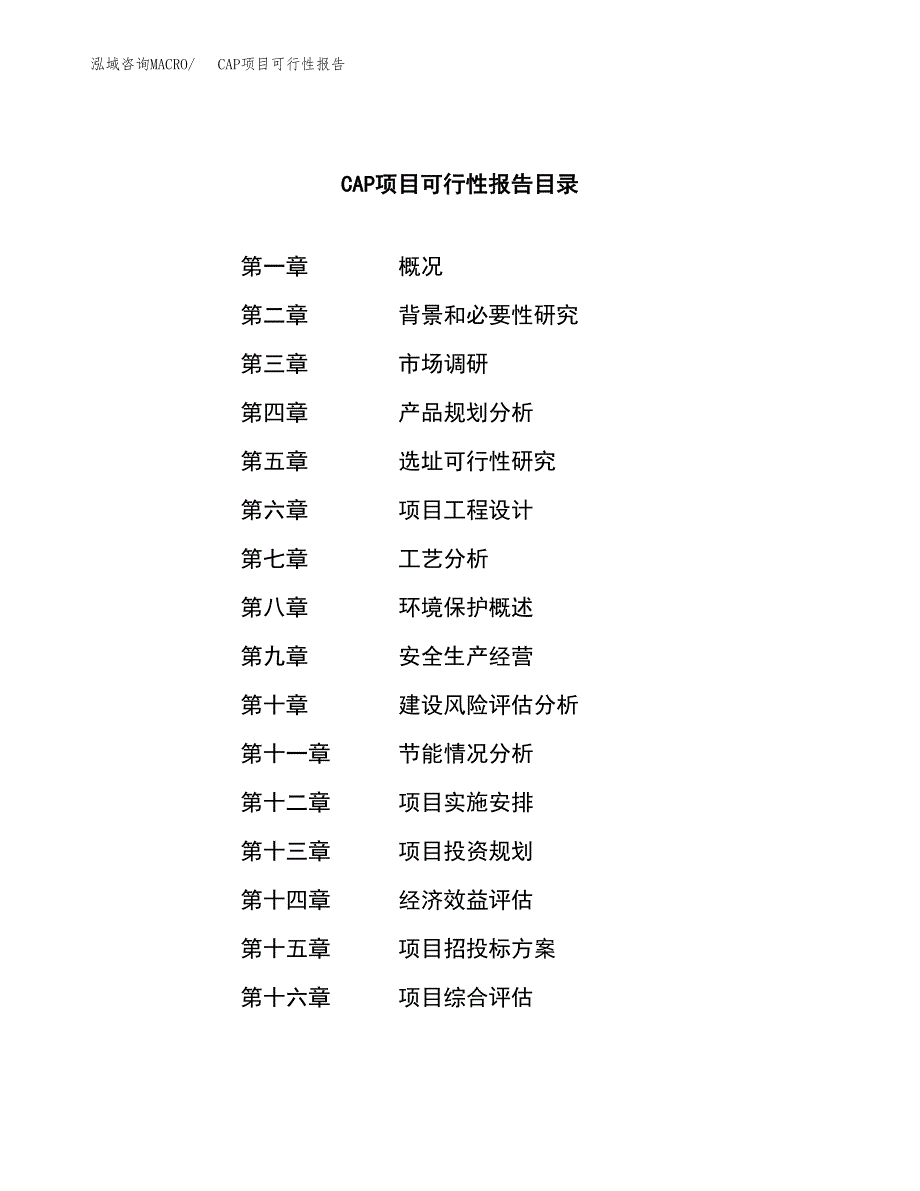 CAP项目可行性报告范文（总投资3000万元）.docx_第3页