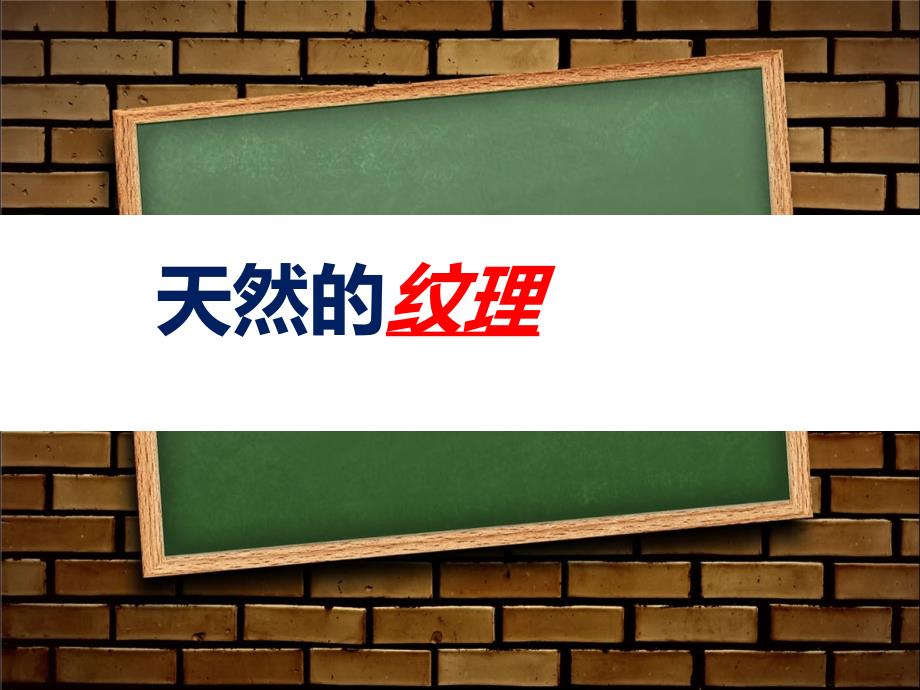 三年级上册美术课件 -   9《天然的纹理》 人教新课标（ 2014秋 ）(共10张PPT)_第1页