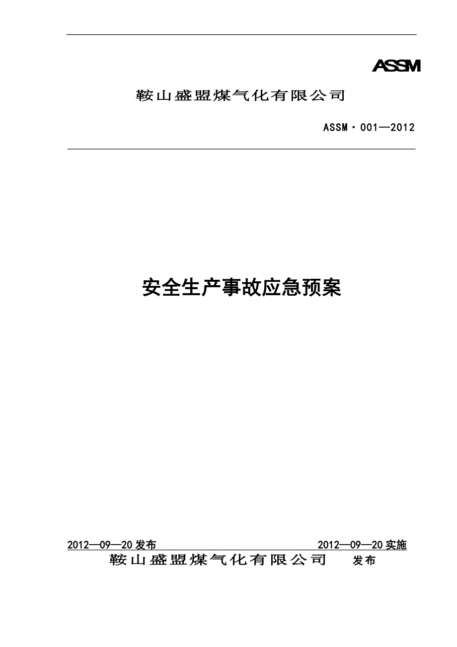 煤气化有限公司安全生产事故应急预案.doc_第1页