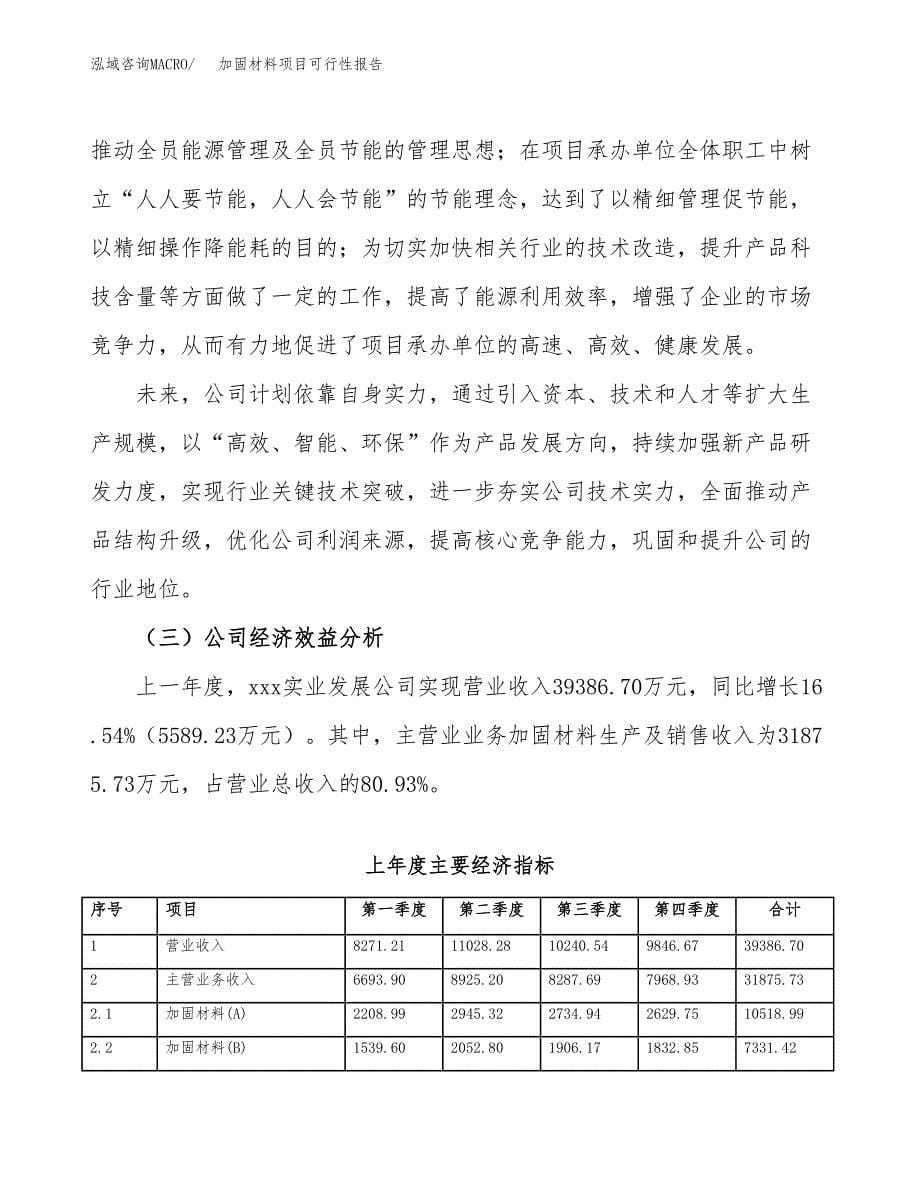 加固材料项目可行性报告范文（总投资22000万元）.docx_第5页