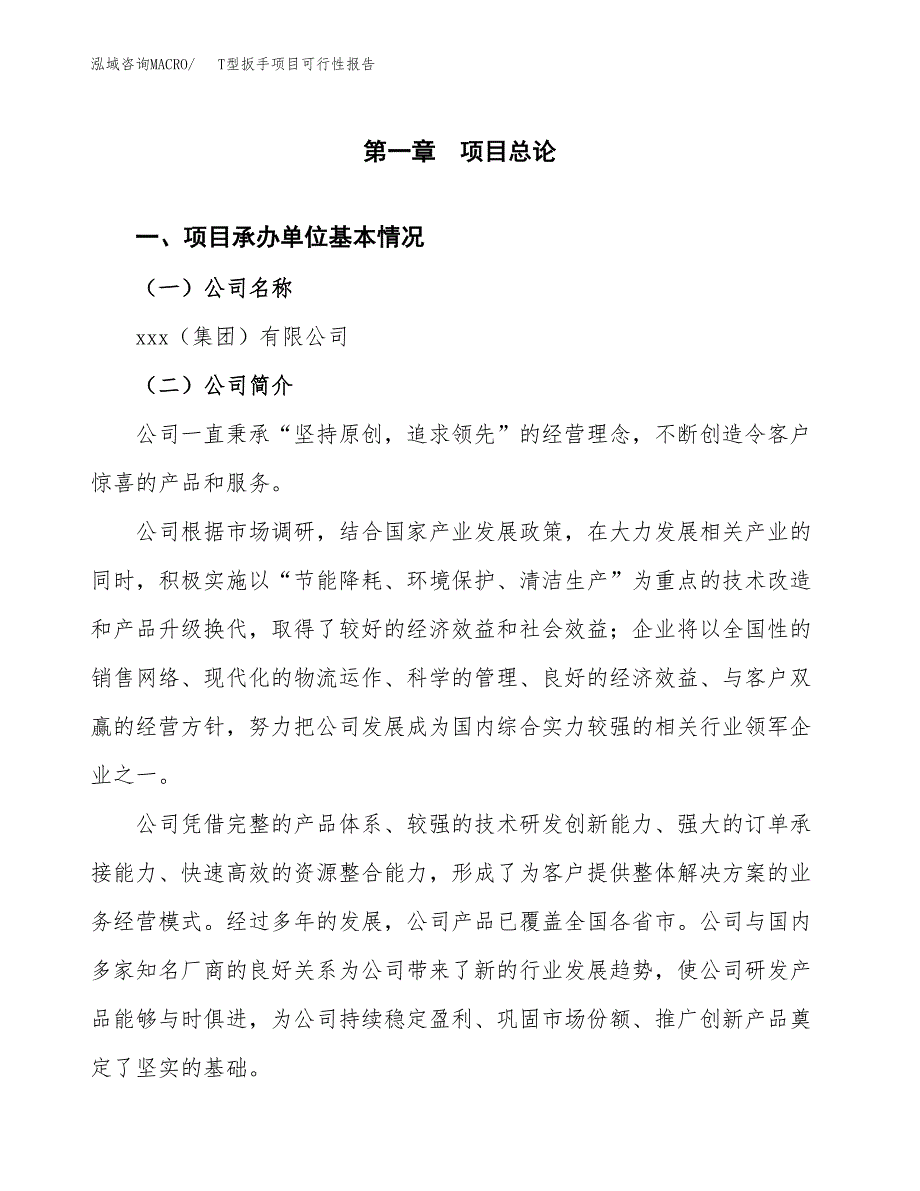 T型扳手项目可行性报告范文（总投资14000万元）.docx_第4页