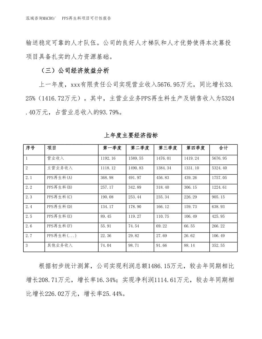 PPS再生料项目可行性报告范文（总投资3000万元）.docx_第5页