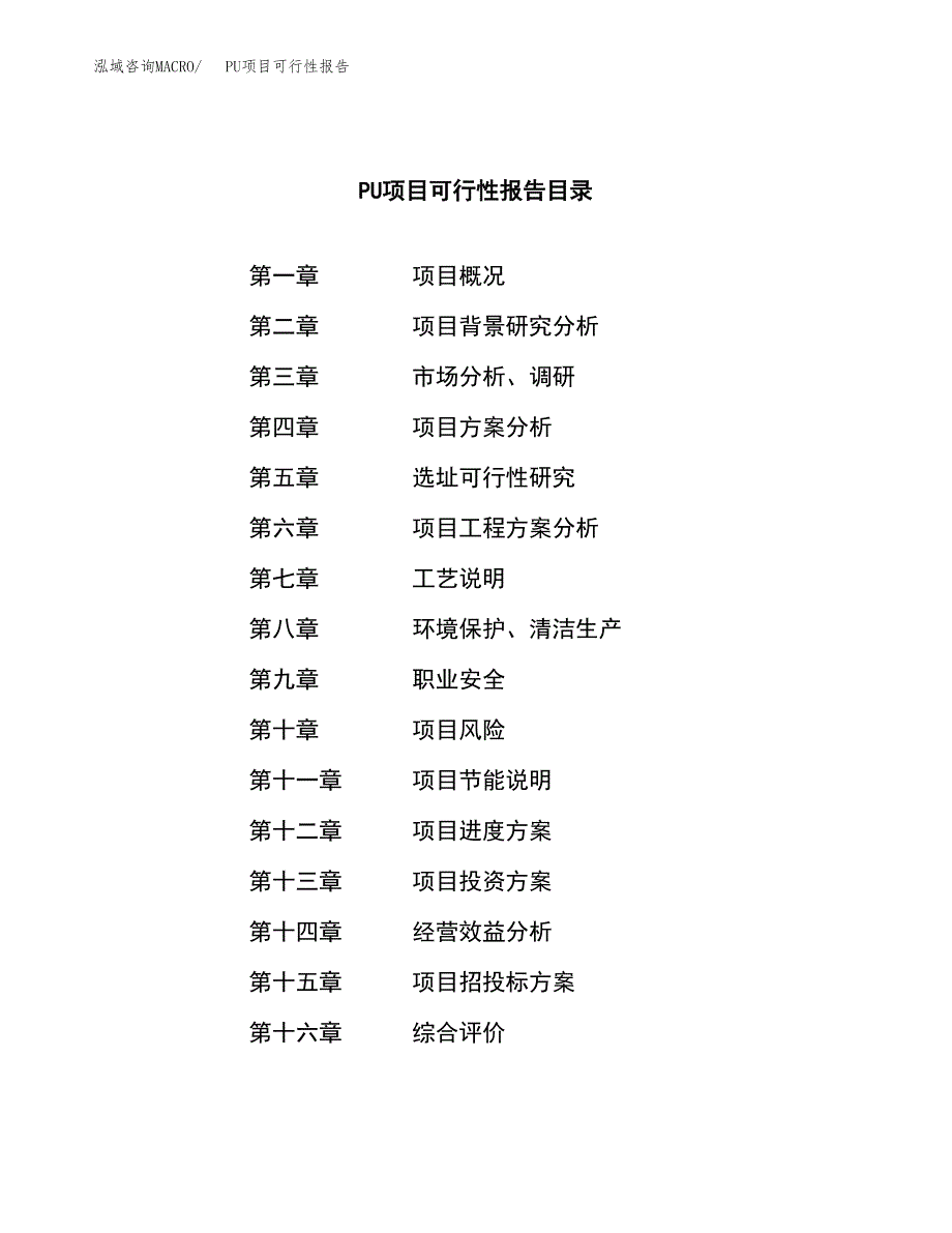 PU项目可行性报告范文（总投资9000万元）.docx_第3页