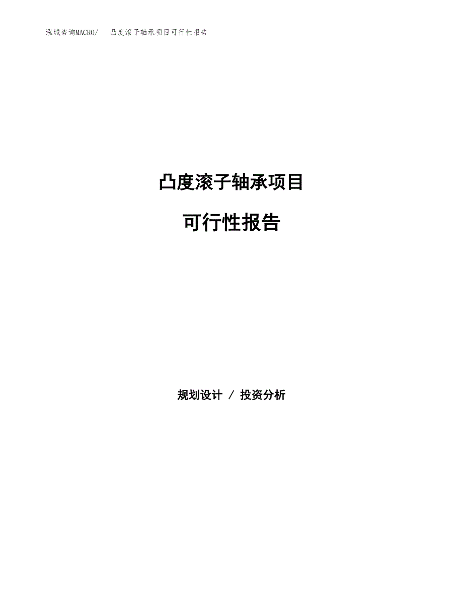 凸度滚子轴承项目可行性报告范文（总投资13000万元）.docx_第1页