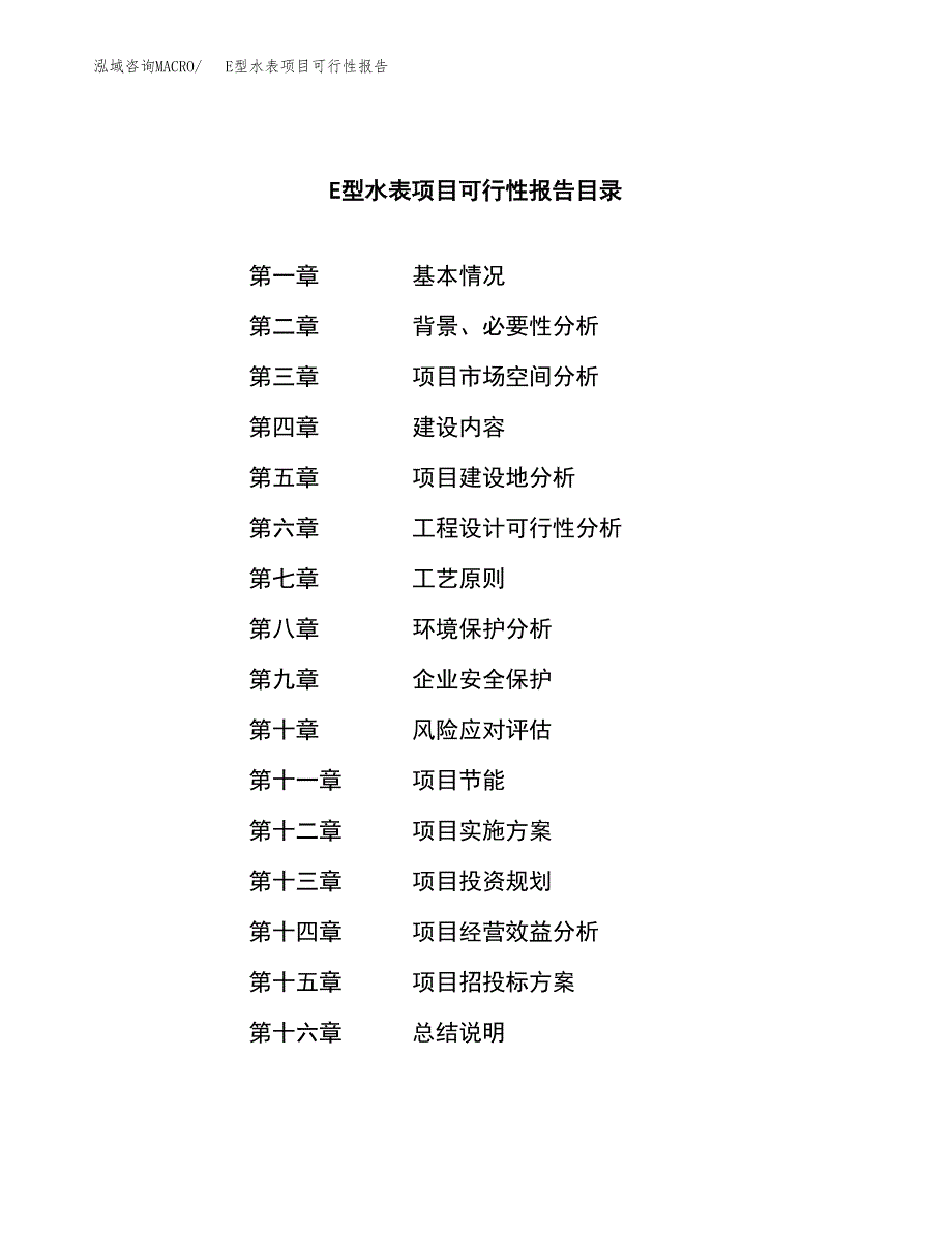 E型水表项目可行性报告范文（总投资16000万元）.docx_第3页