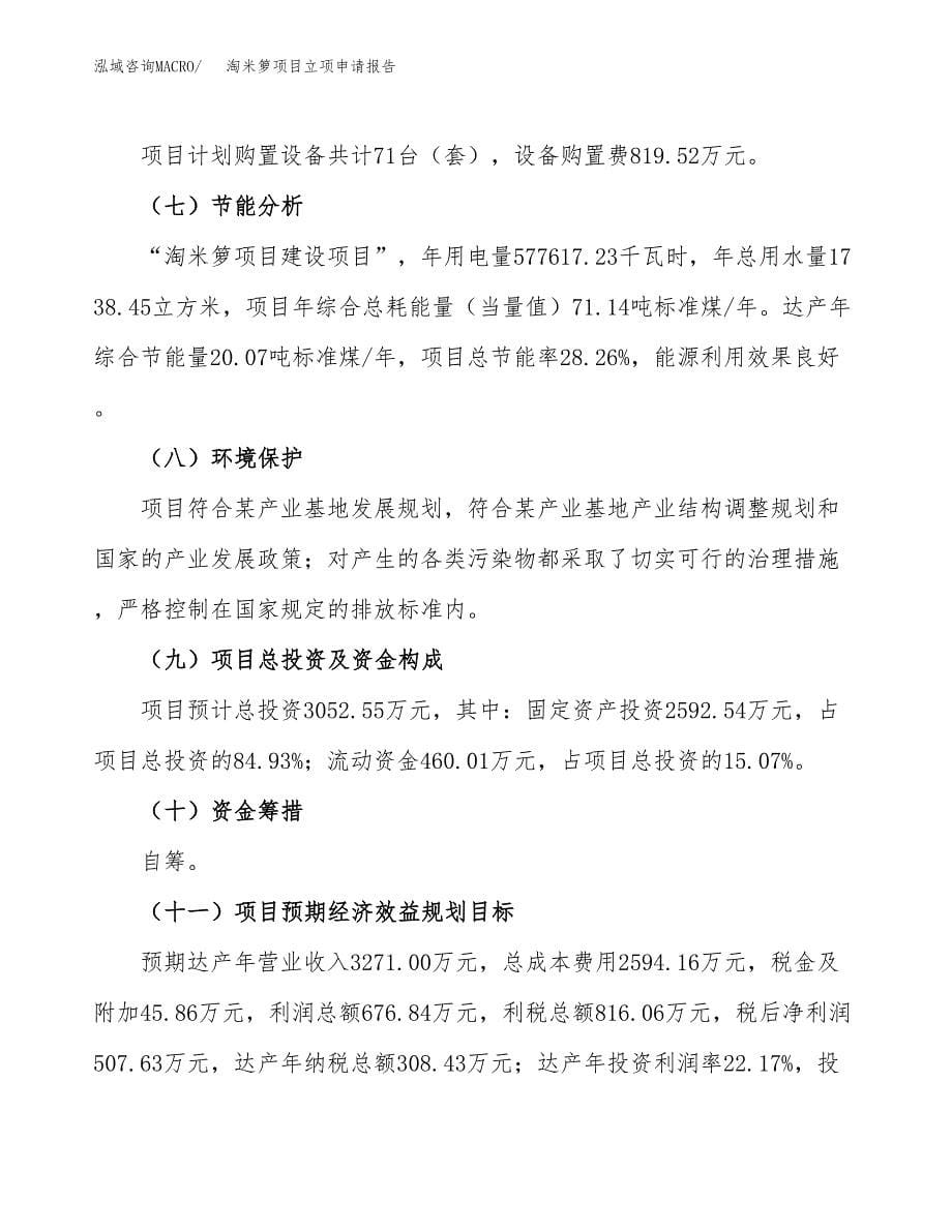 淘米箩项目立项申请报告范文模板.docx_第5页