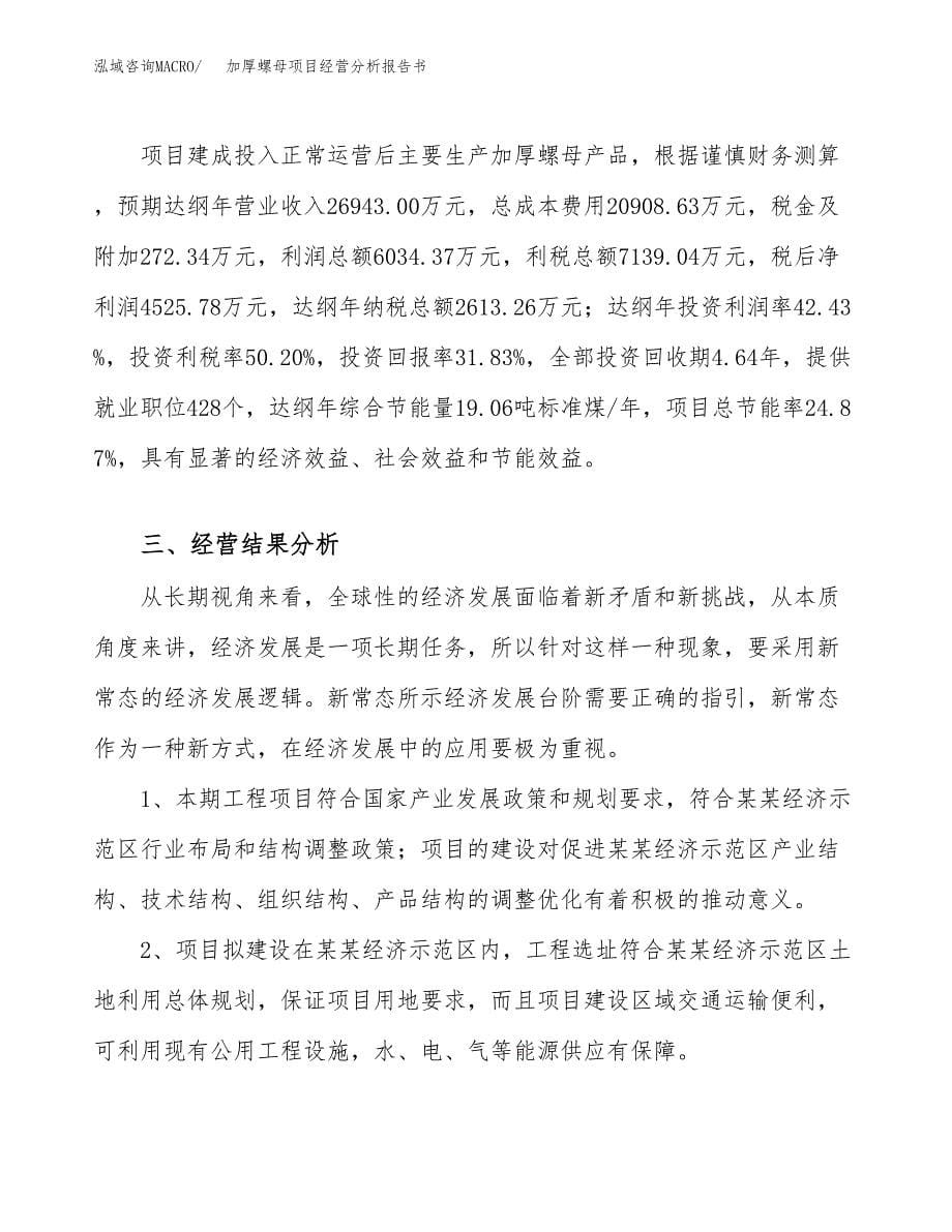 加厚螺母项目经营分析报告书（总投资14000万元）（65亩）.docx_第5页