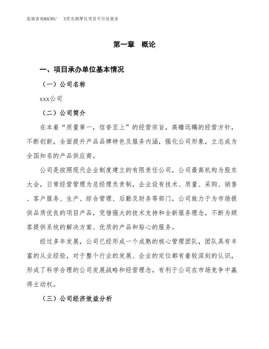 X荧光测厚仪项目可行性报告范文（总投资13000万元）.docx_第5页