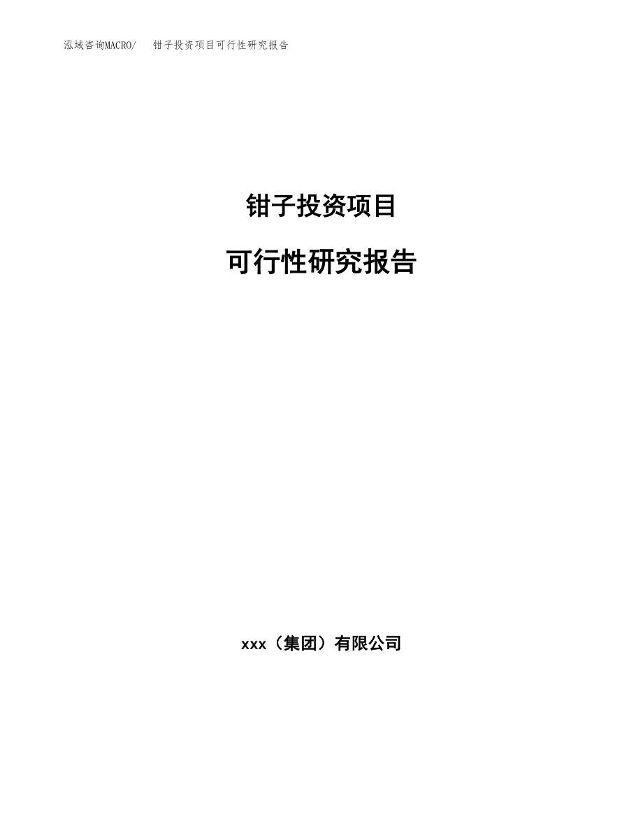 钳子投资项目可行性研究报告（总投资16000万元）.docx_第1页