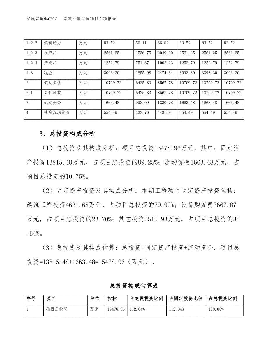 新建冲浪浴缸项目立项报告模板参考_第5页