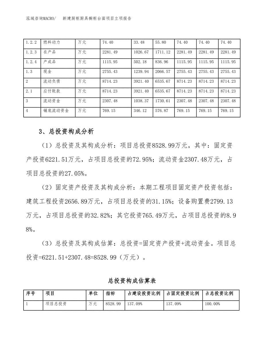 新建厨柜厨具橱柜台面项目立项报告模板参考_第5页