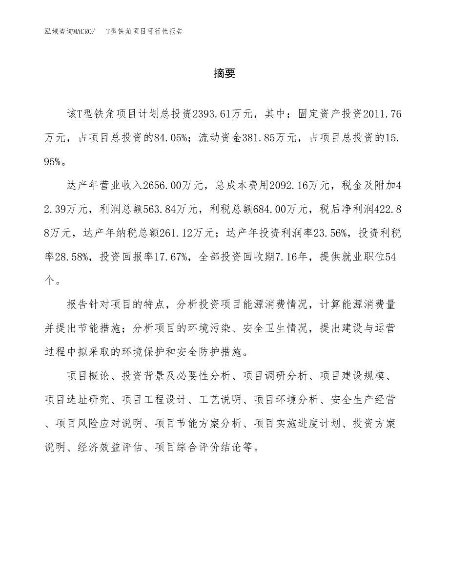 T型铁角项目可行性报告范文（总投资2000万元）.docx_第2页