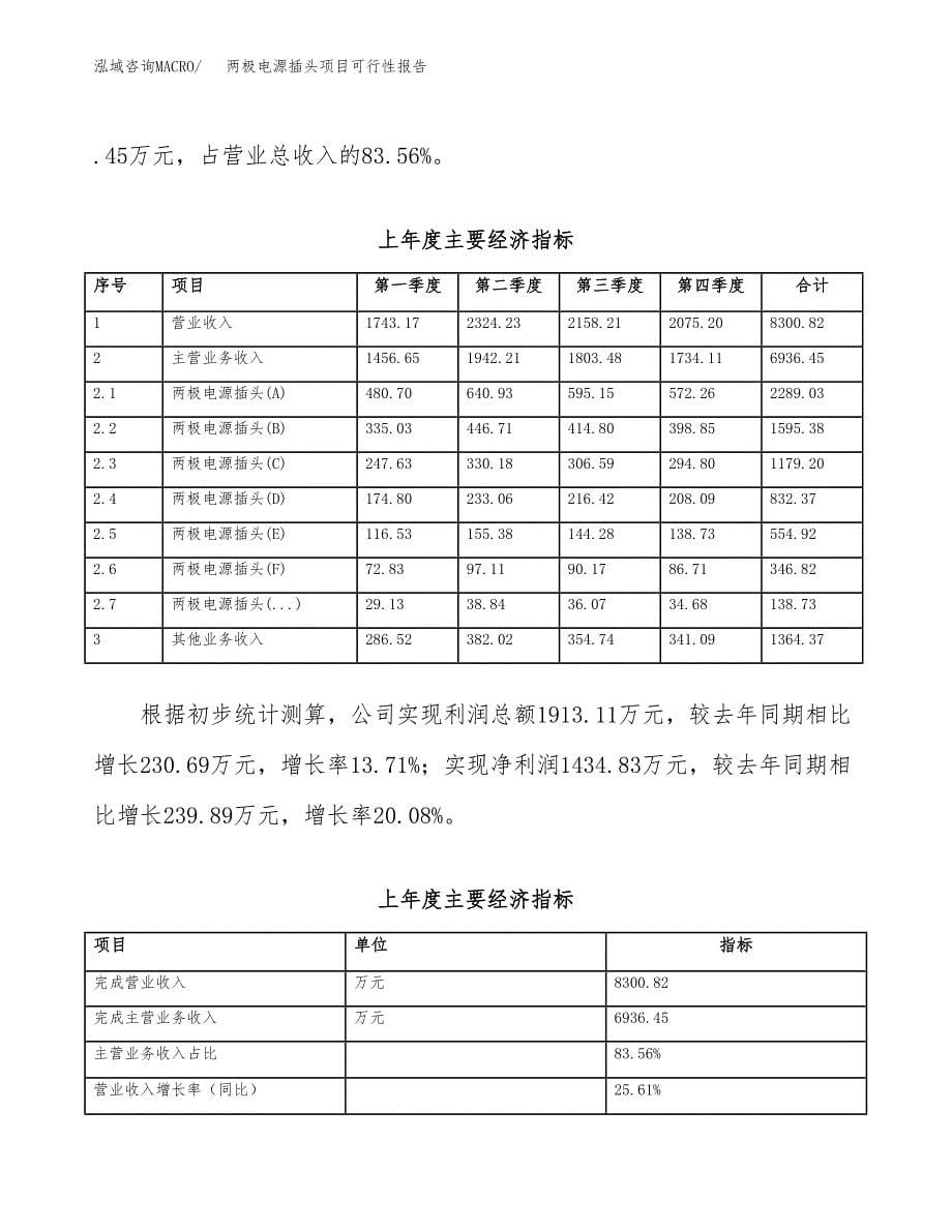 两极电源插头项目可行性报告范文（总投资12000万元）.docx_第5页