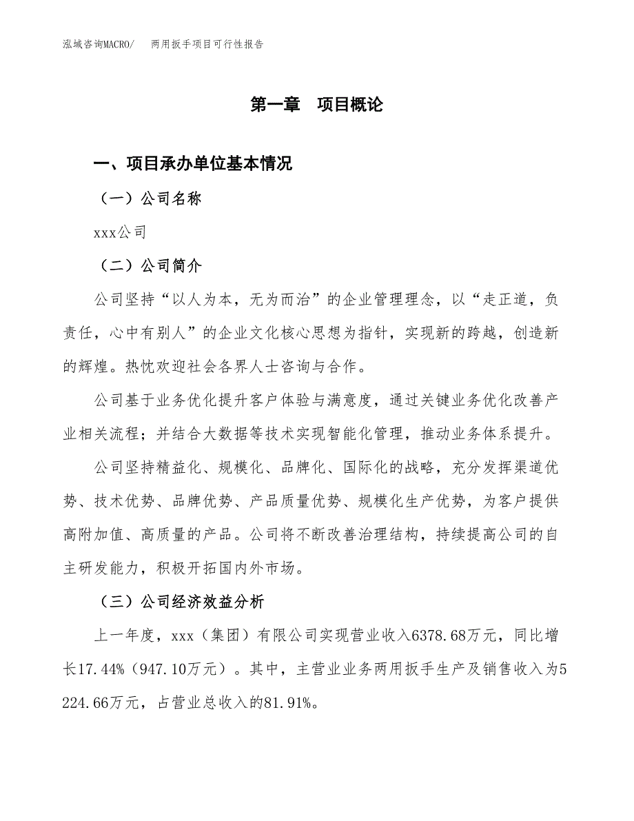 两用扳手项目可行性报告范文（总投资7000万元）.docx_第4页