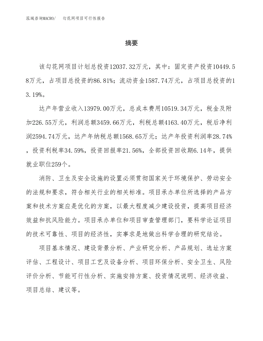 勾花网项目可行性报告范文（总投资12000万元）.docx_第2页