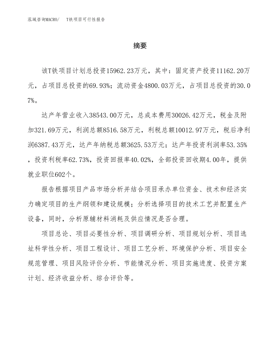 T铁项目可行性报告范文（总投资16000万元）.docx_第2页