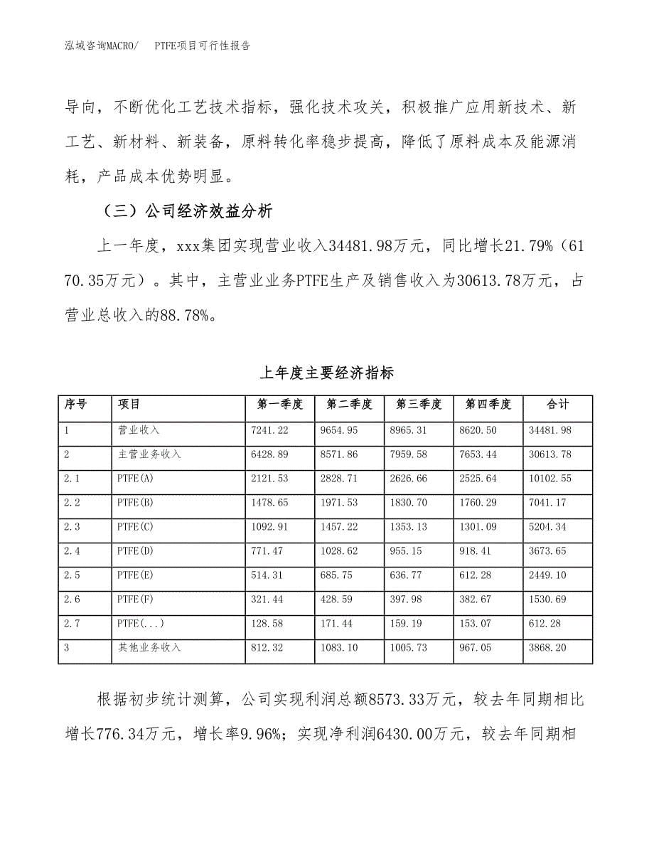 PTFE项目可行性报告范文（总投资19000万元）.docx_第5页