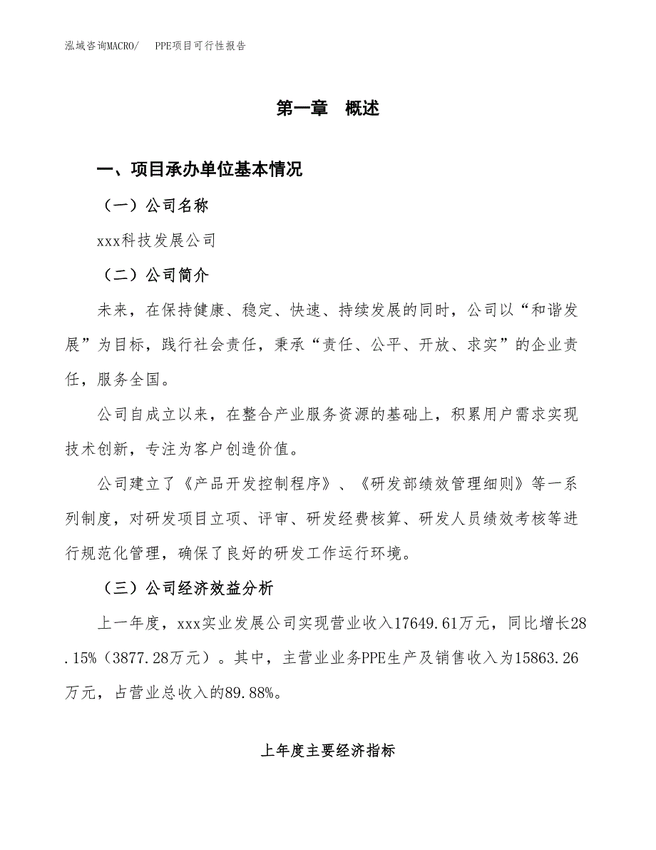 PPE项目可行性报告范文（总投资17000万元）.docx_第4页