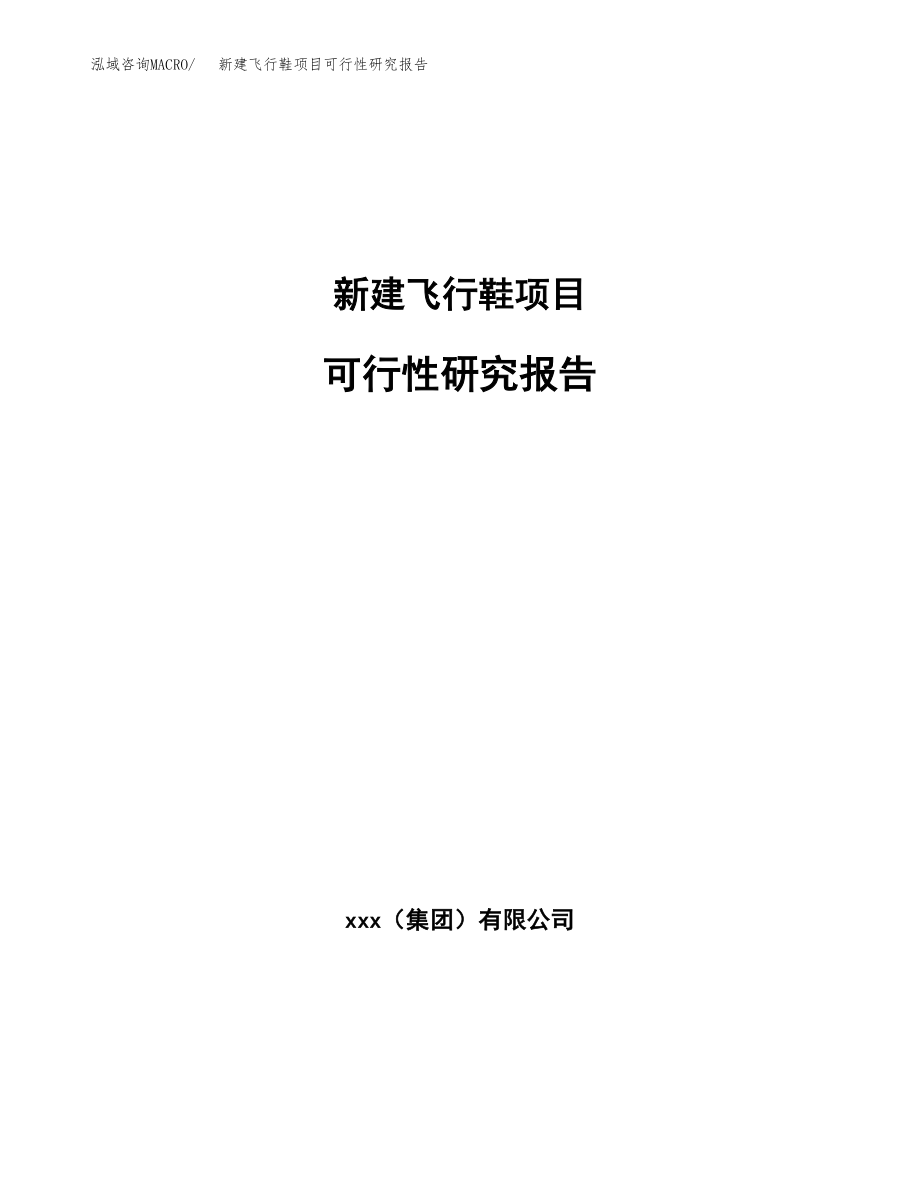 新建飞行鞋项目可行性研究报告（立项申请模板）_第1页