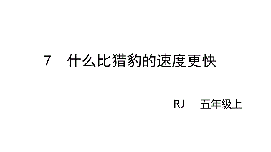 五年级上册语文课件-7什么比猎豹的速度更快-人教部编版(共26张PPT)_第3页