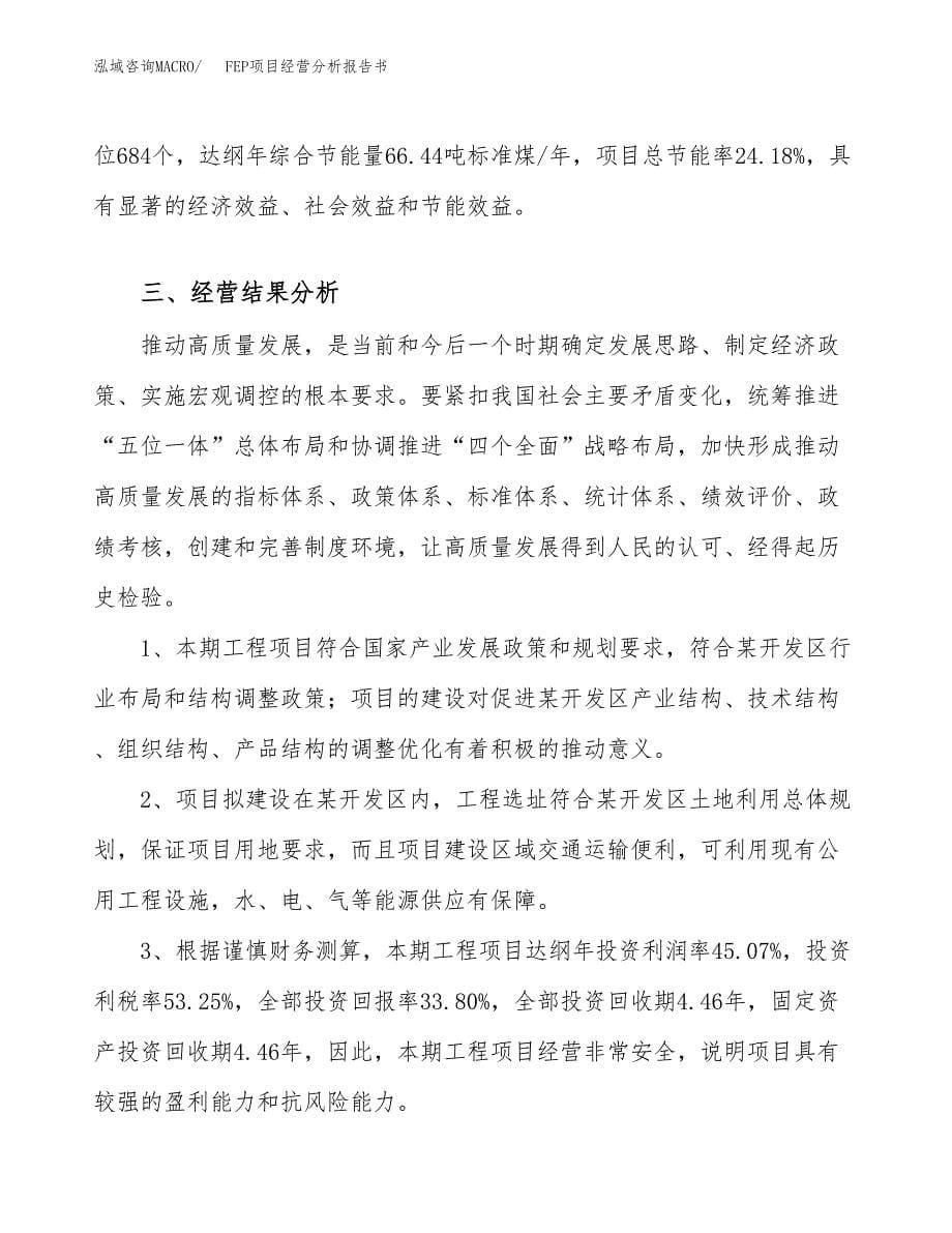 FEP项目经营分析报告书（总投资19000万元）（89亩）.docx_第5页