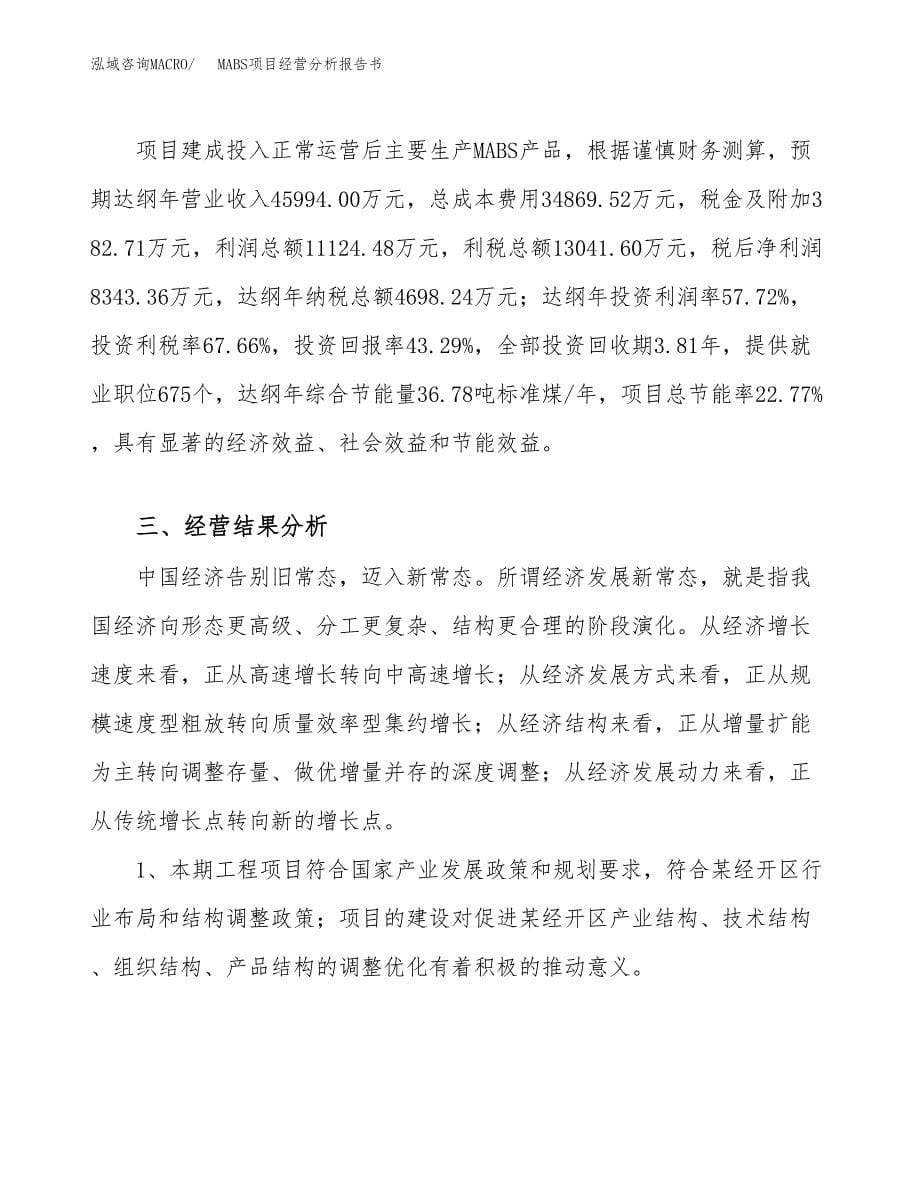 MABS项目经营分析报告书（总投资19000万元）（74亩）.docx_第5页