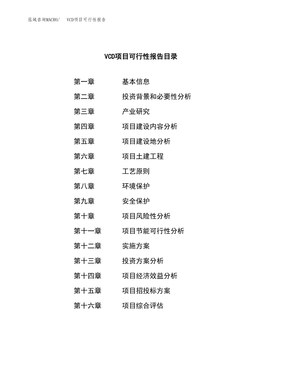 VCD项目可行性报告范文（总投资17000万元）.docx_第3页