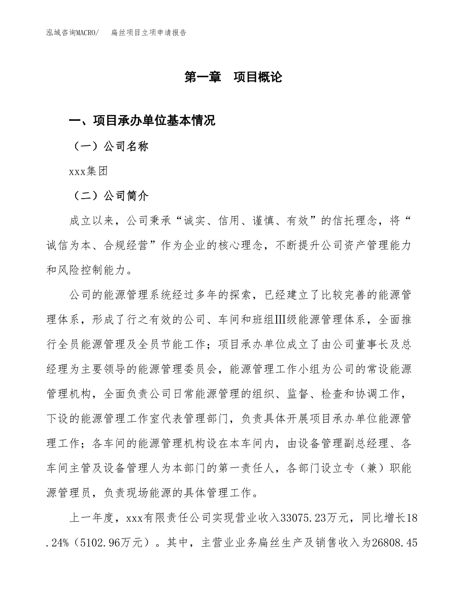 扁丝项目立项申请报告范文模板.docx_第2页