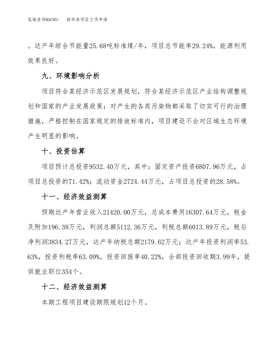 钳形表项目立项申请（案例与参考模板）_第4页