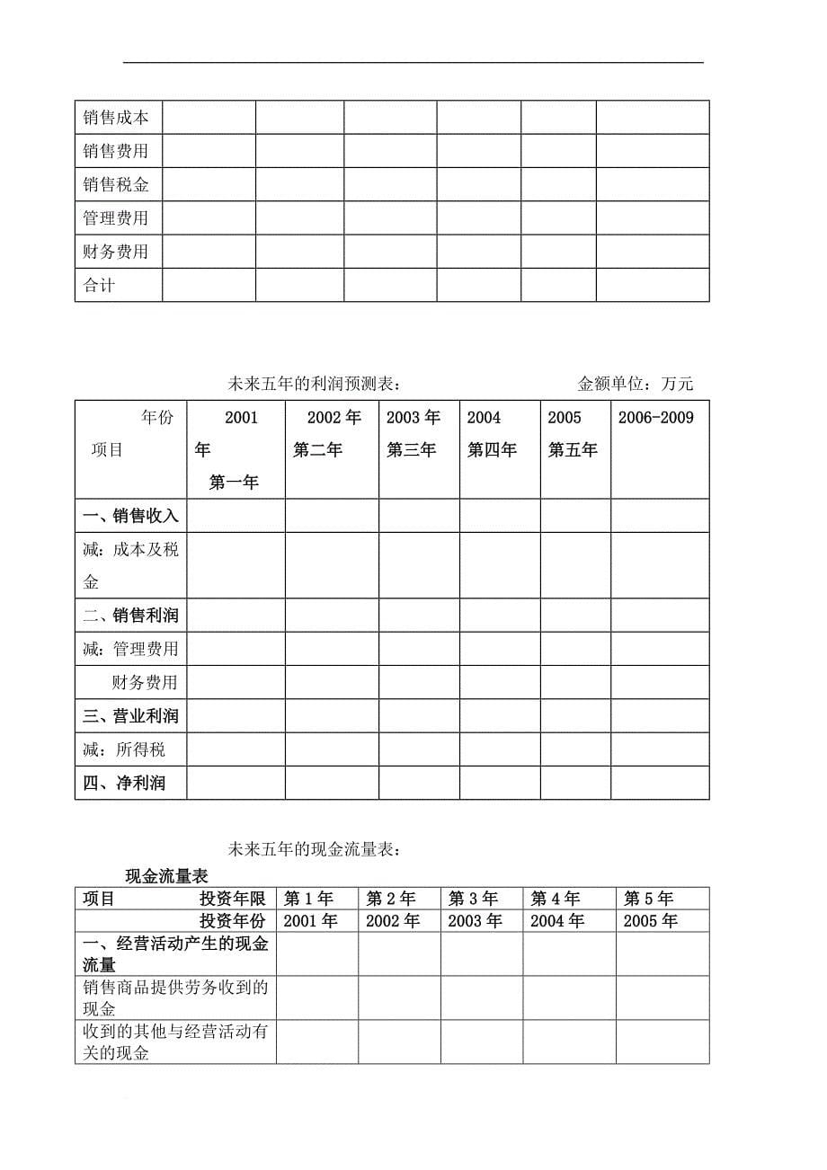 商业计划书标准版本.doc_第5页