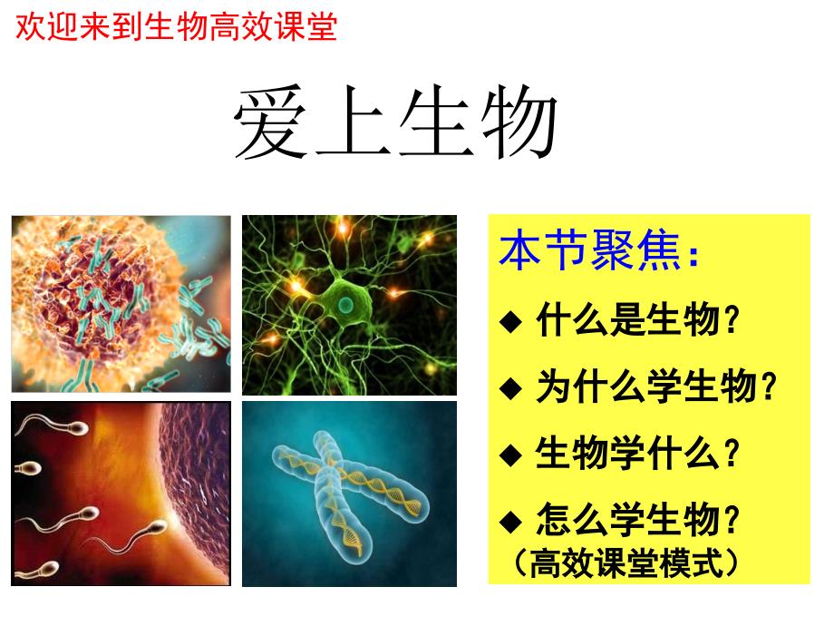 高中生物第一课ppt_第2页