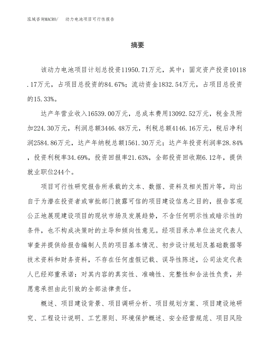 动力电池项目可行性报告范文（总投资12000万元）.docx_第2页