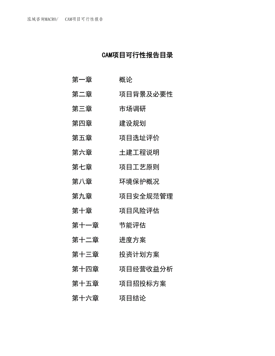 CAM项目可行性报告范文（总投资18000万元）.docx_第3页