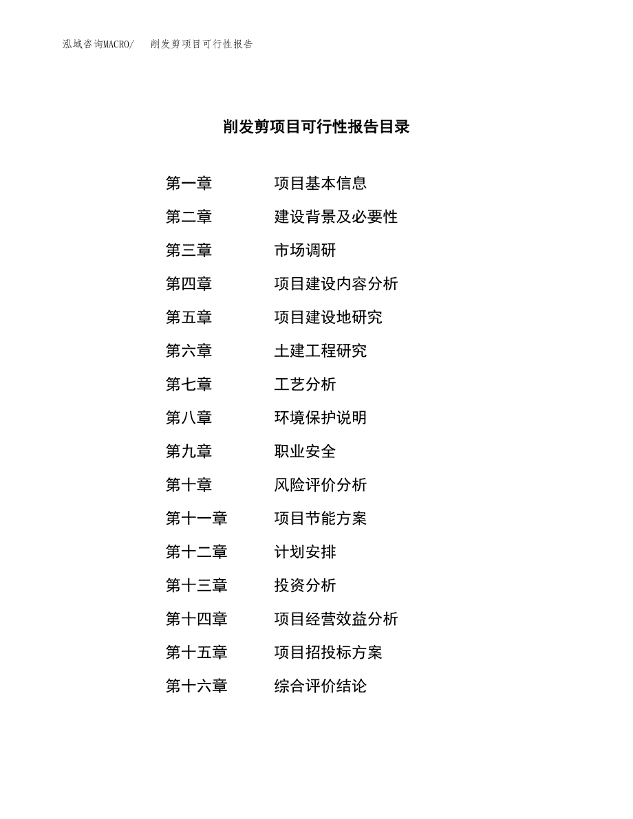 削发剪项目可行性报告范文（总投资10000万元）.docx_第4页