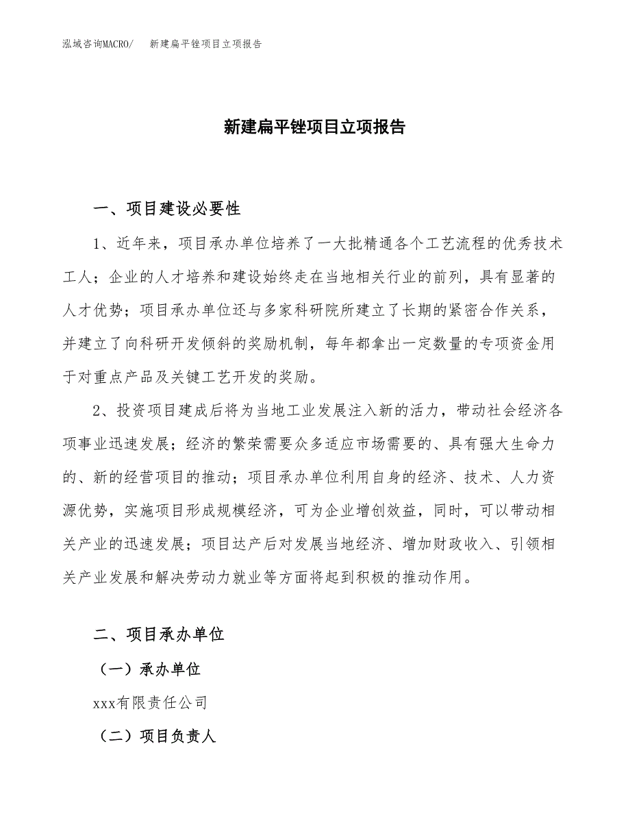 新建扁平头金刚石什锦锉项目立项报告模板参考_第1页