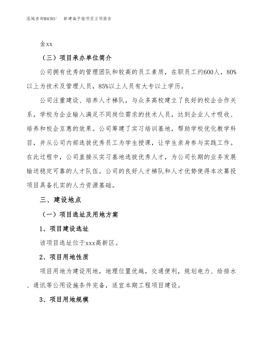 新建扁平头金刚石什锦锉项目立项报告模板参考_第2页