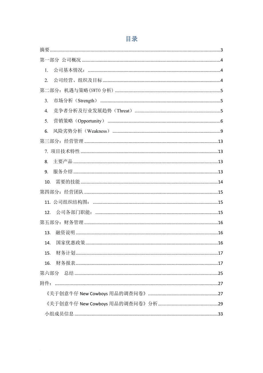 newcowboys创业计划书.doc_第2页