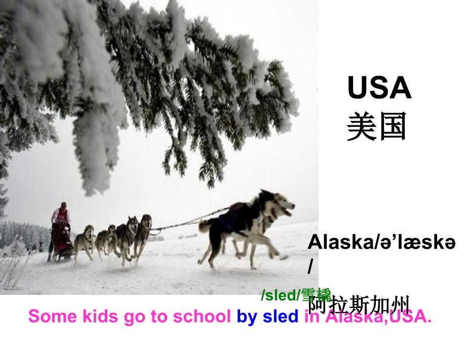 2014新版六年级上册 Unit2 Ways to go to school B read and write课件_第3页