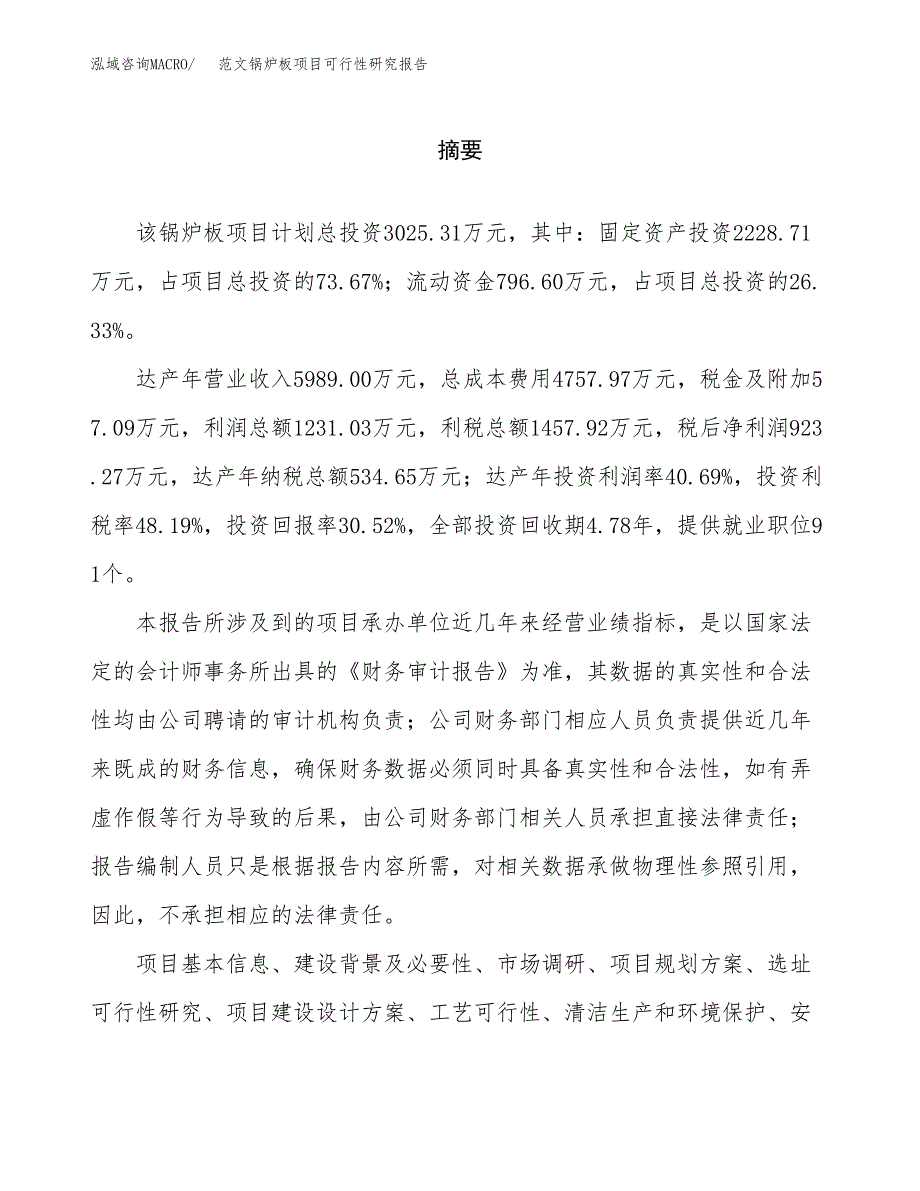 范文锅炉板项目可行性研究报告(立项申请).docx_第2页