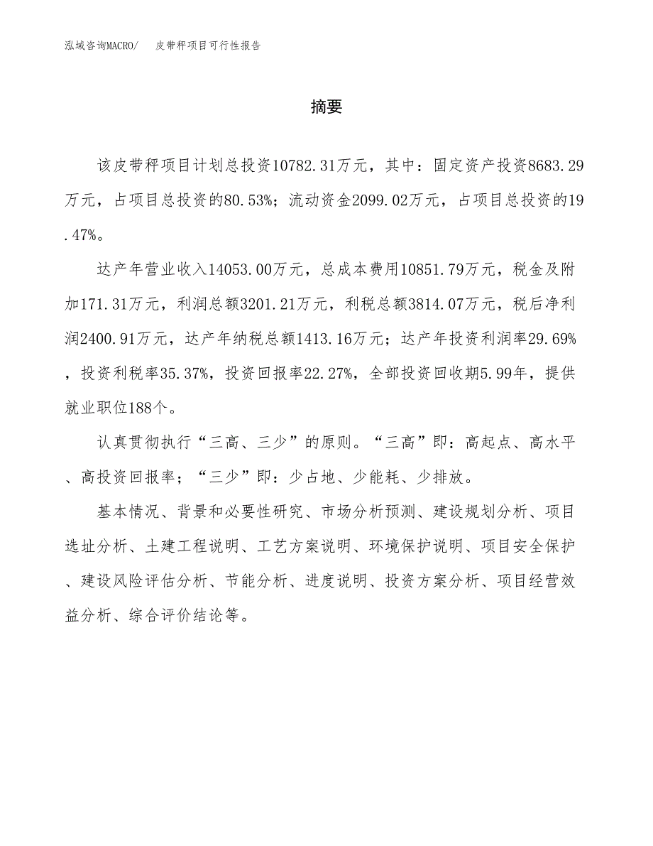 皮带秤项目可行性报告范文（总投资11000万元）.docx_第2页