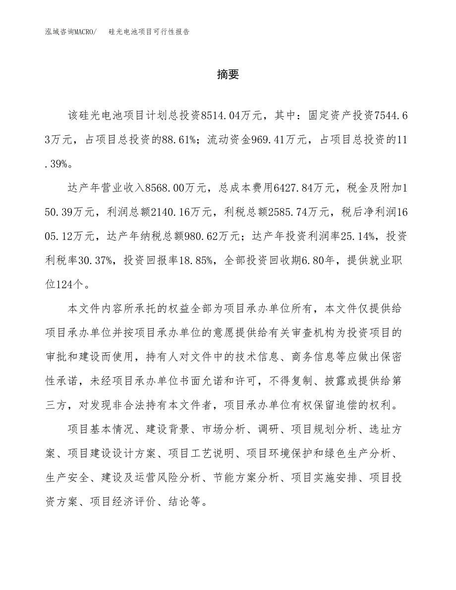 硅光电池项目可行性报告范文（总投资9000万元）.docx_第2页