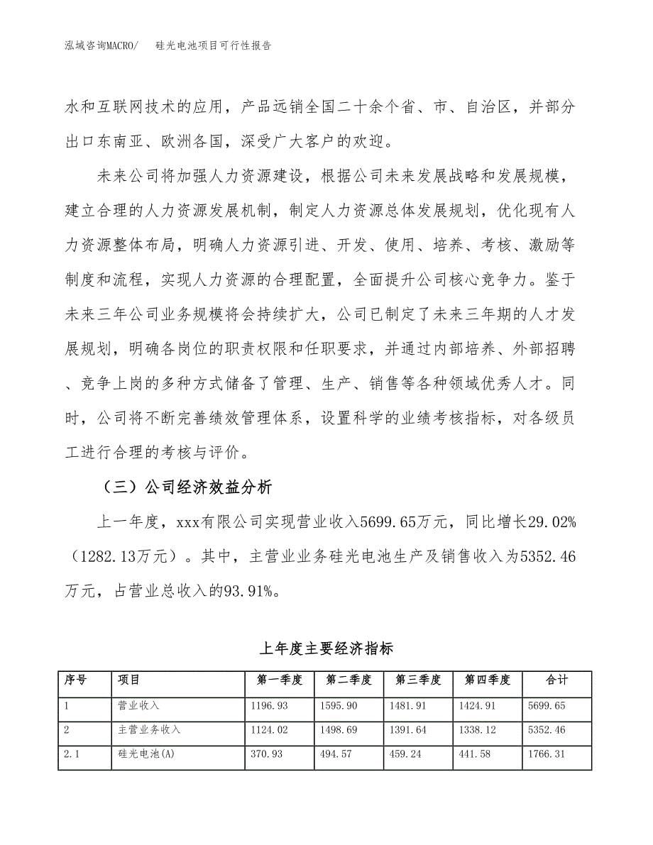 硅光电池项目可行性报告范文（总投资9000万元）.docx_第5页