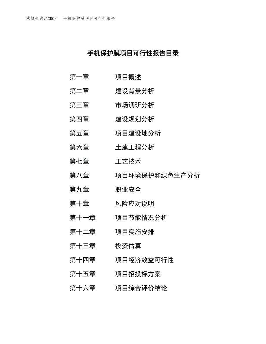 手机保护膜项目可行性报告范文（总投资8000万元）.docx_第3页