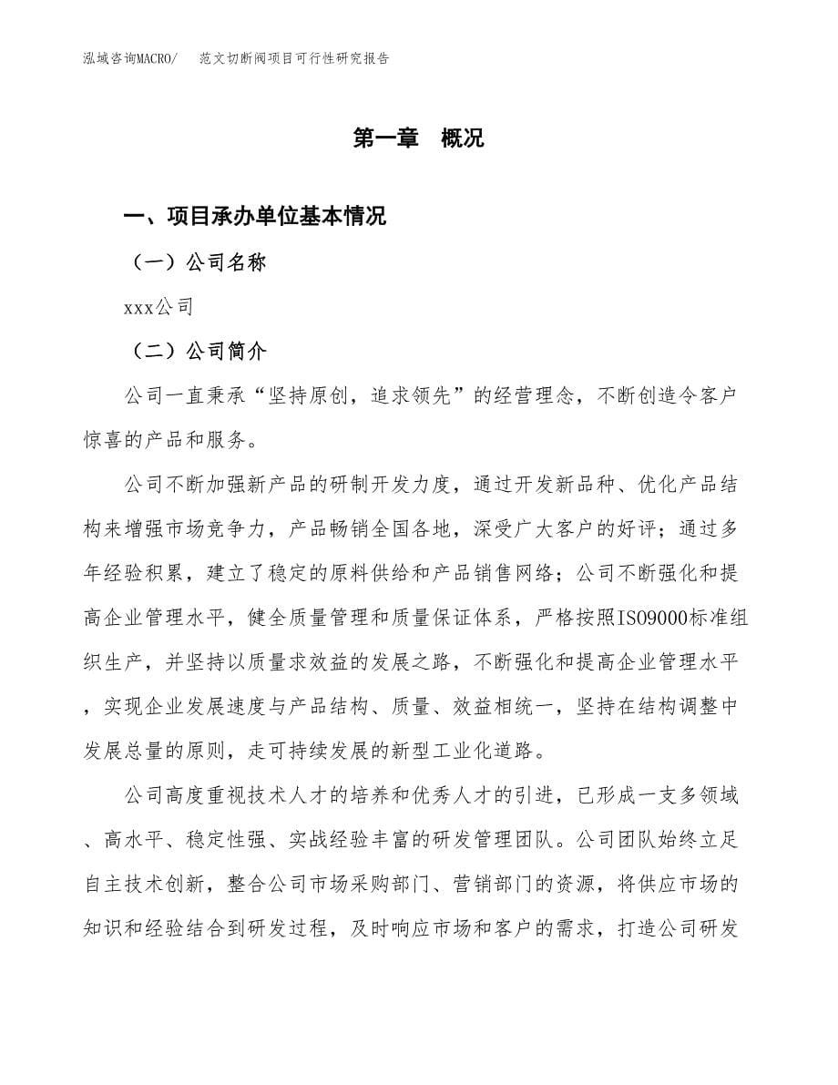 范文切断阀项目可行性研究报告(立项申请).docx_第5页