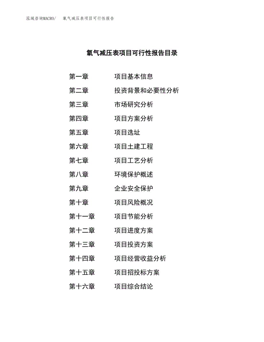 氧气减压表项目可行性报告范文（总投资19000万元）.docx_第3页